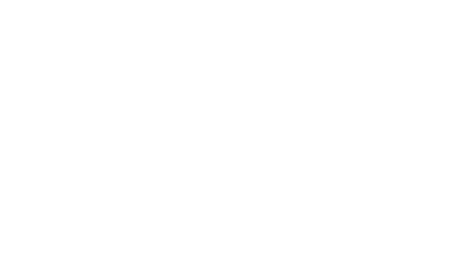 Viessmann-Logo in Weiß auf grünem Hintergrund.